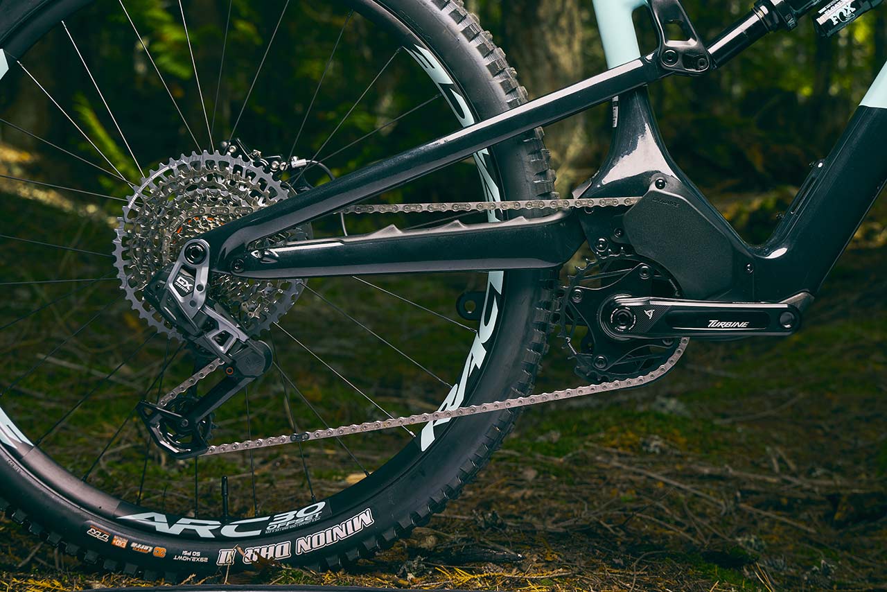RM-Instinct_PPSL-pohon